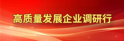 高質(zhì)(zhì)量發(fā)(fā)展企業(yè)(yè)調(diào)研行